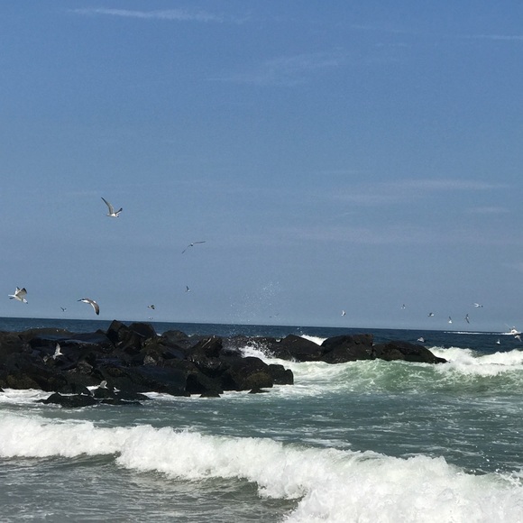 Meet your Posher, Dilek - Picture 1 of 1